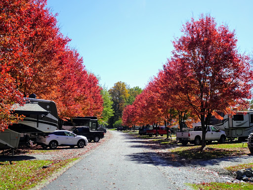 Campground «Lakewood RV Resort», reviews and photos, 15 Timmie Ln, Flat Rock, NC 28731, USA