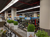 Petco - Photo 3 - Car repair in Brooklyn, NY, New York