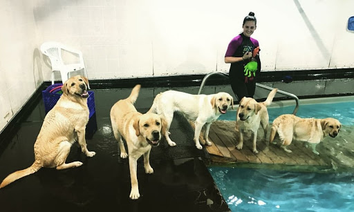 Pet Supply Store «The Feed Bag Pet Supply», reviews and photos, 10900 N Port Washington Rd, Mequon, WI 53092, USA