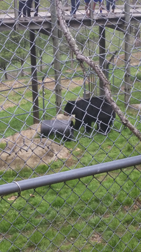 Zoo «Friends of WNC Nature Center», reviews and photos, 72 Gashes Creek Rd, Asheville, NC 28805, USA