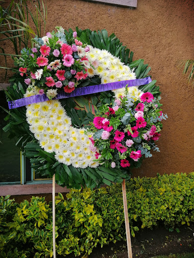 Florería OASIS – Ocuilan de Arteaga