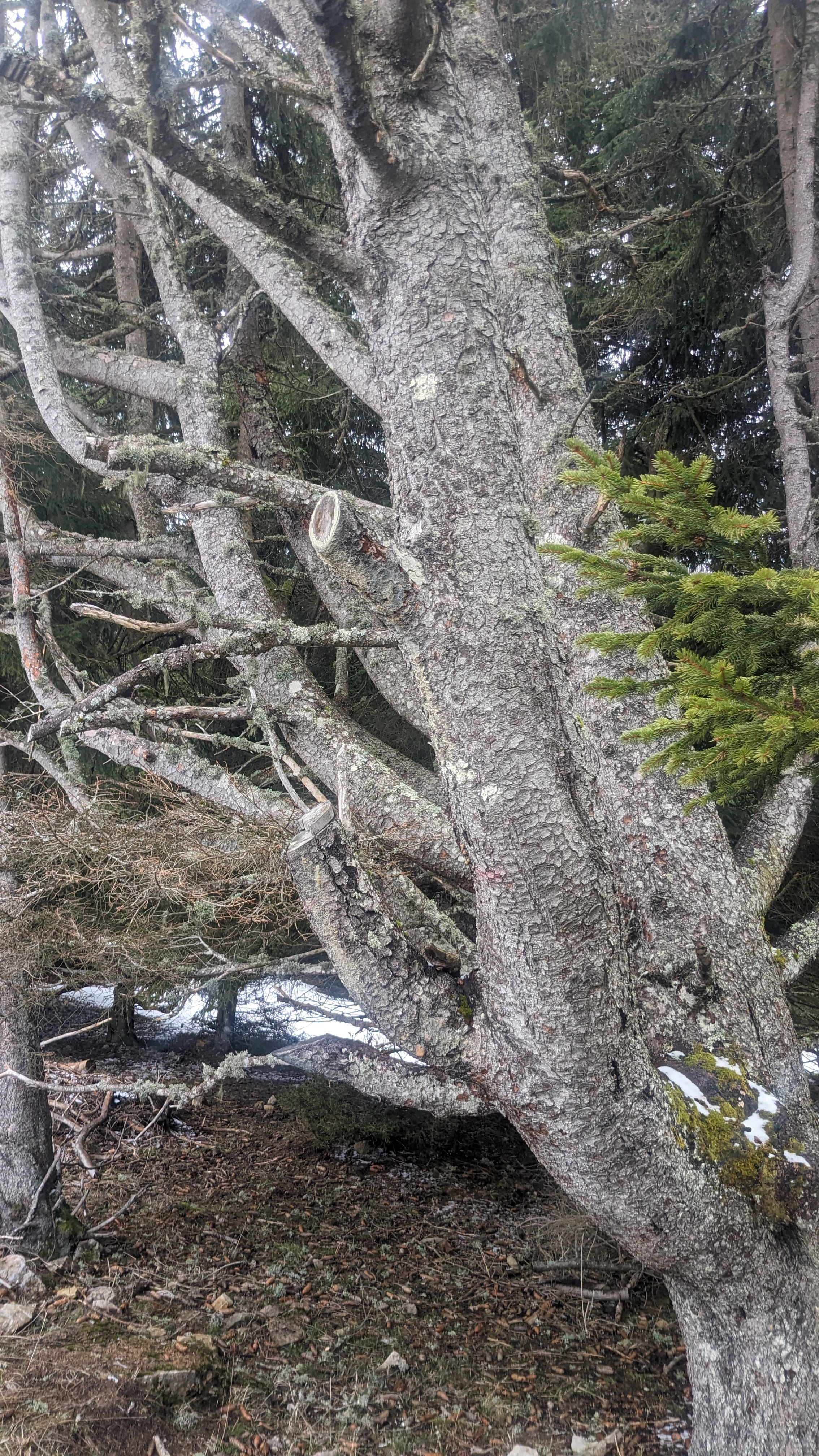 Photo n° 3 de l'avis de Geneviève.A fait le 17/03/2024 à 16:05