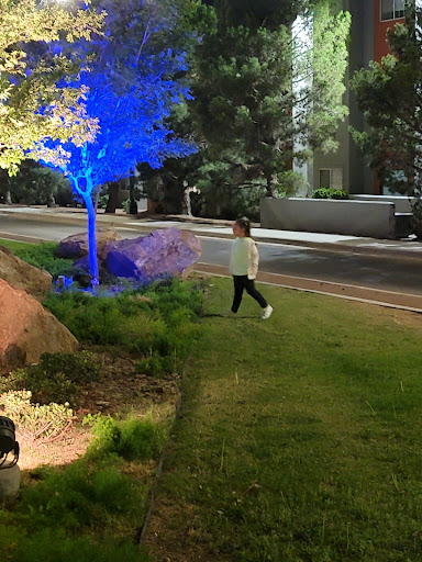 Hotel «Wyndham El Paso Airport Hotel and Water Park», reviews and photos, 2027 Airway Blvd, El Paso, TX 79925, USA