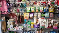 Noommy Inc Petshop & Grooming - Car repair in Bronx, NY, New York - Rated 4.3/5