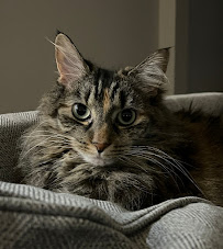 Luv Your Petz Pet Sitting, LLC - Photo 3 - Car repair in Sharpsburg, GA, South Fulton