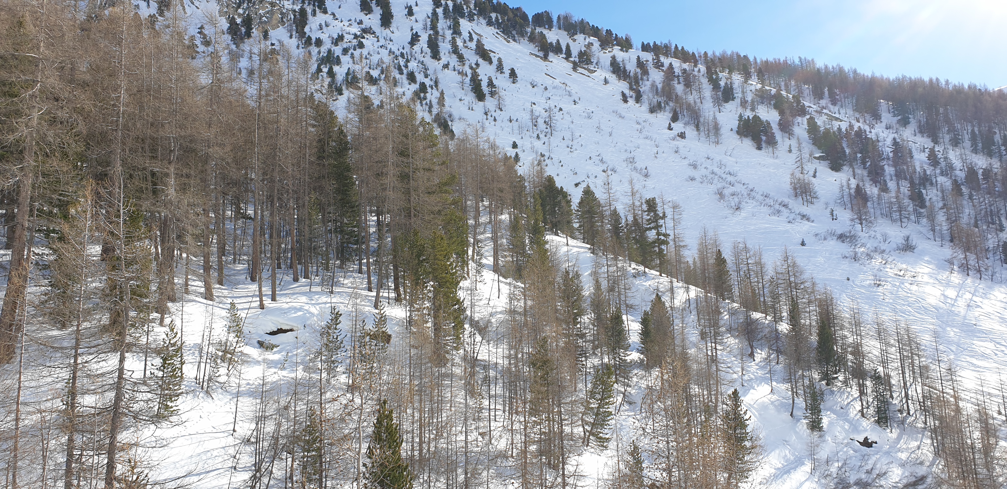 Photo n° 10 de l'avis de Bachra.E fait le 01/03/2019 à 14:07