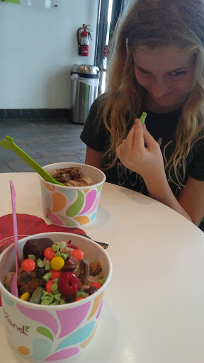 Frozen Yogurt Shop «Yogurtland», reviews and photos, 10500 Ulmerton Rd, Largo, FL 33771, USA