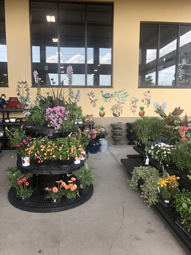 Hardware Store «Sunshine Ace Hardware», reviews and photos, 4433 Tamiami Trail E, Naples, FL 34112, USA