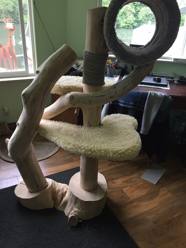 Pet Supply Store «Pet Loft», reviews and photos, 6333 SW Macadam Ave #104, Portland, OR 97239, USA