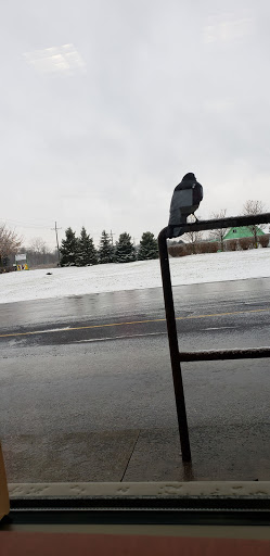 Coffee Shop «Tim Hortons», reviews and photos, 36255 26 Mile Rd, Lenox, MI 48050, USA