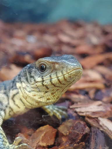 Pet Supply Store «Petco Animal Supplies», reviews and photos, 7303 Pinnacle Pkwy, Covington, LA 70433, USA