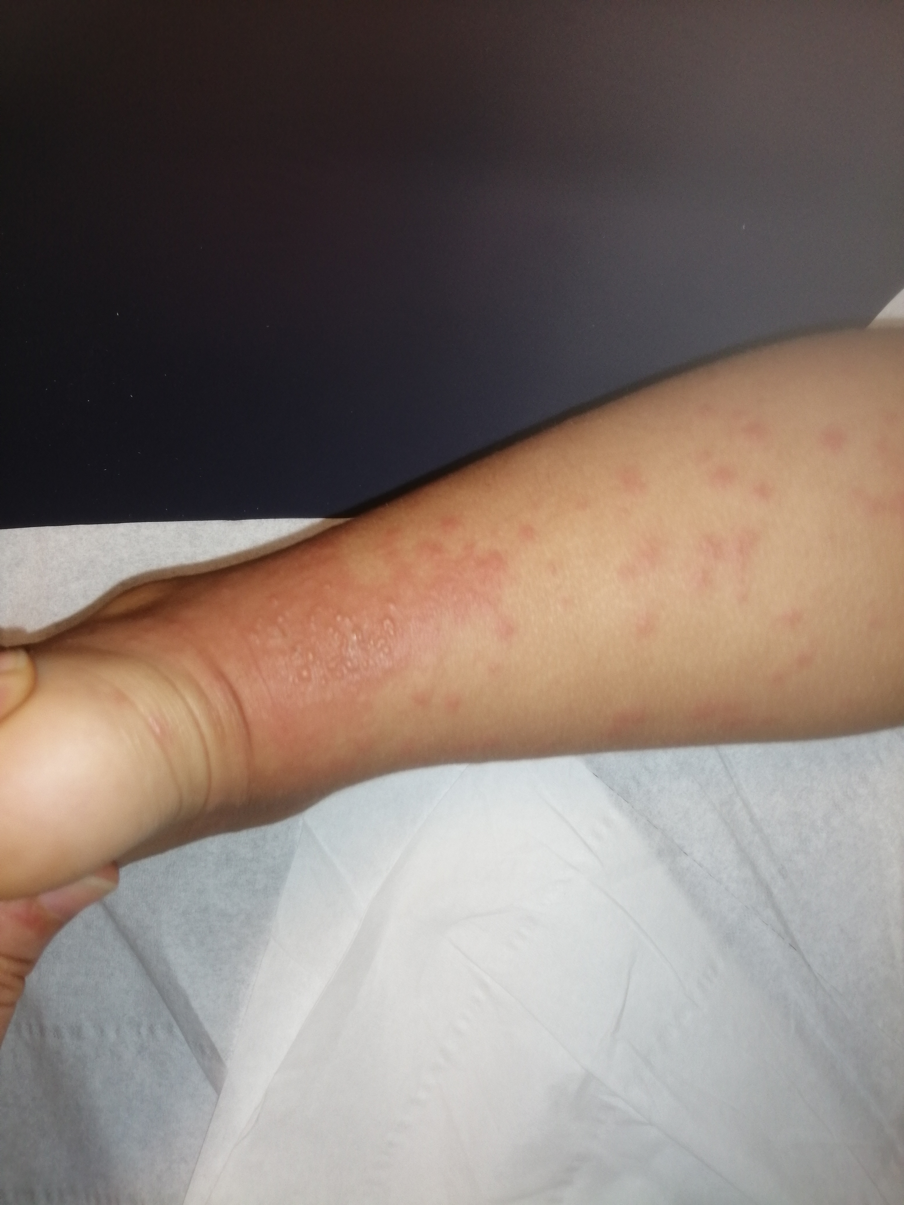 Photo n° 1 de l'avis de Fadhila.A fait le 22/07/2021 à 20:03