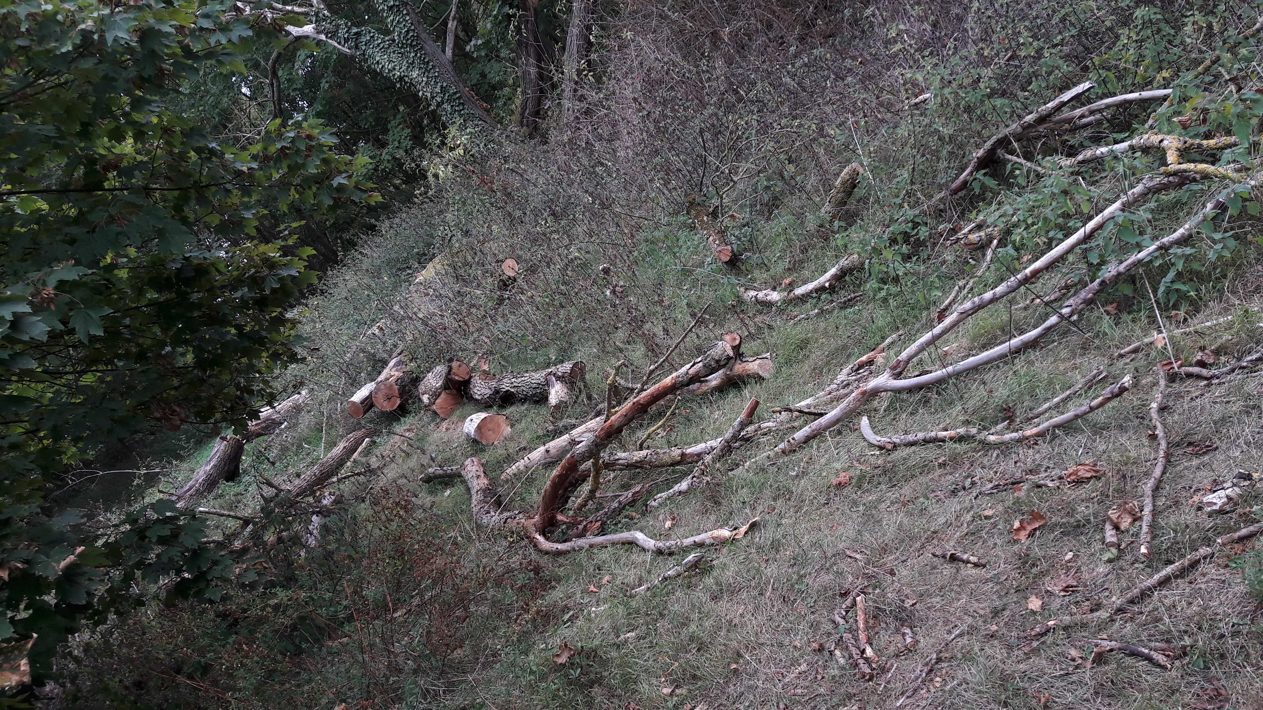 Photo n° 10 de l'avis de Alfa.l fait le 12/09/2019 à 04:09