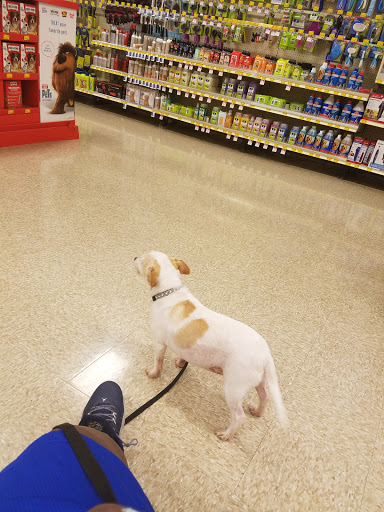 PetSmart