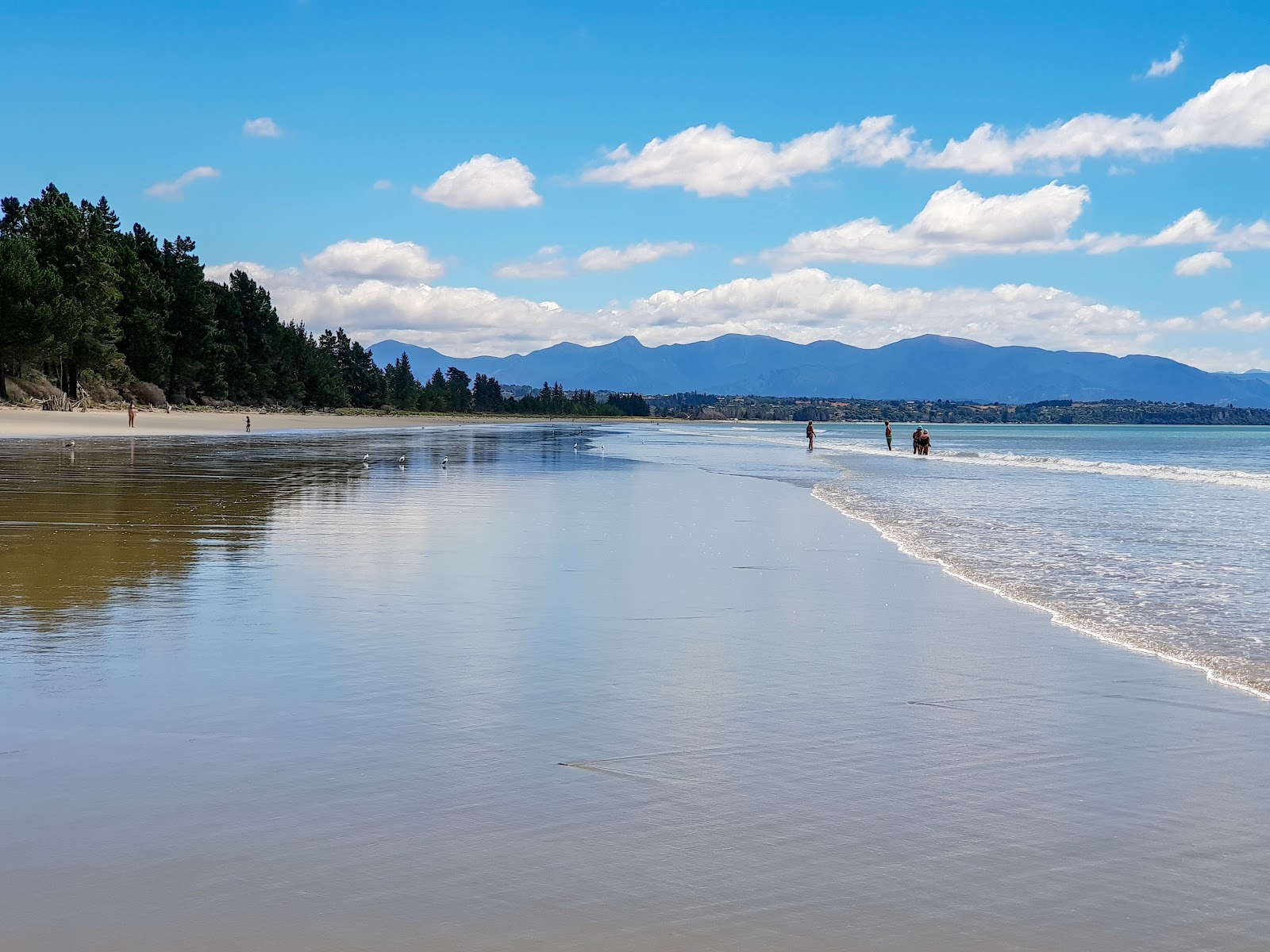 Photo de Moturoa Rabbit Beach avec plusieurs baies longues