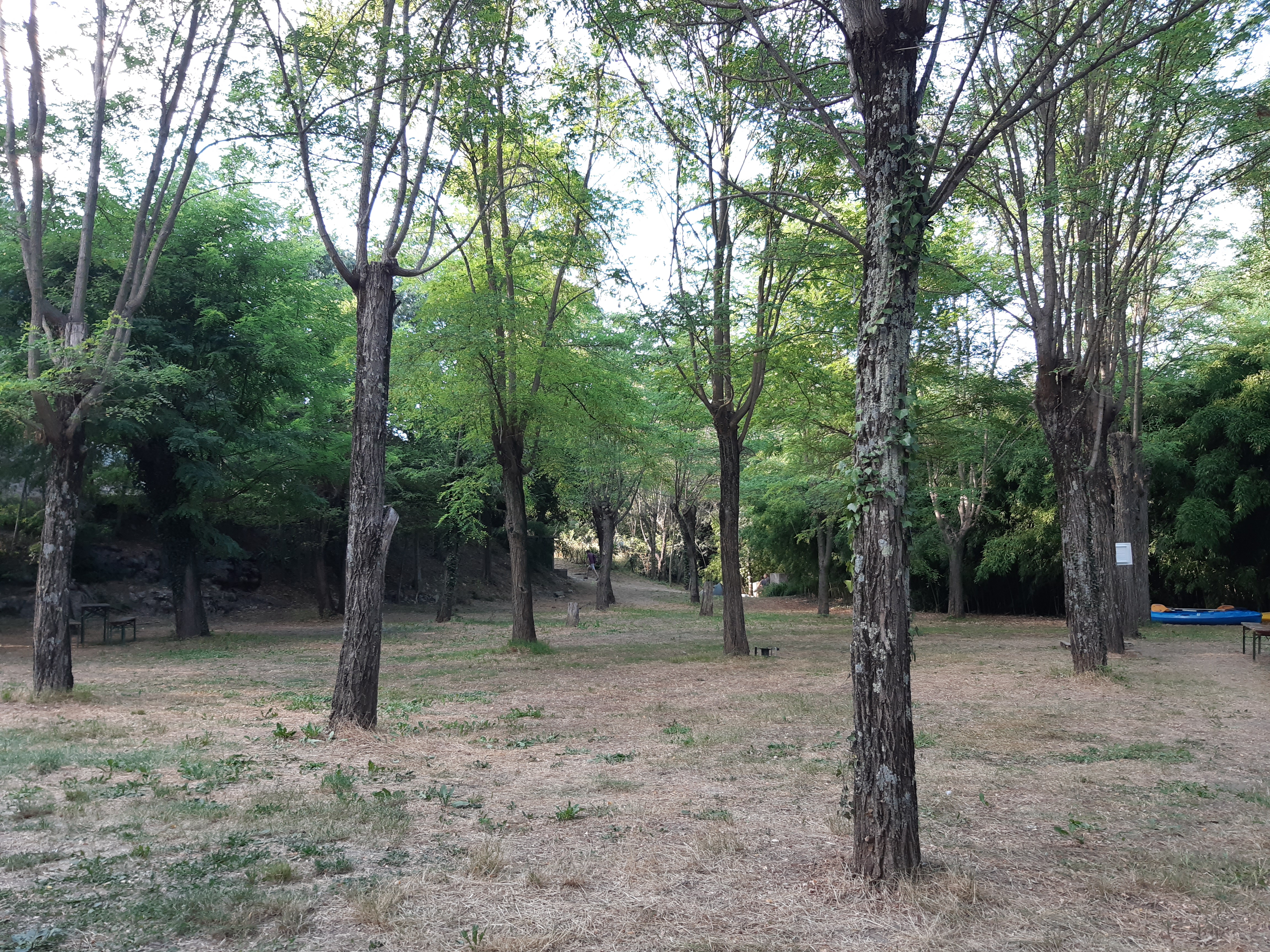 Photo n° 4 de l'avis de Lydie.o fait le 16/07/2020 à 16:33