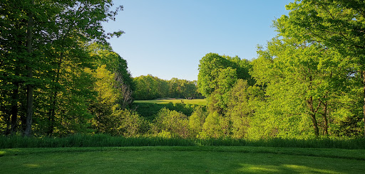 Golf Club «Ravines Golf Club», reviews and photos, 3520 Palmer Dr, Saugatuck, MI 49453, USA