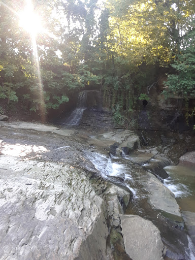 Park «Cleveland Metroparks», reviews and photos, 1969 W Ridgewood Dr, Cleveland, OH 44134, USA