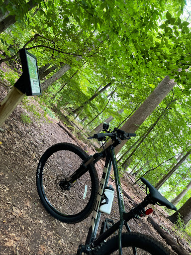 Bicycle Store «The Bicycle Store», reviews and photos, 182 Ridgedale Ave, Florham Park, NJ 07932, USA