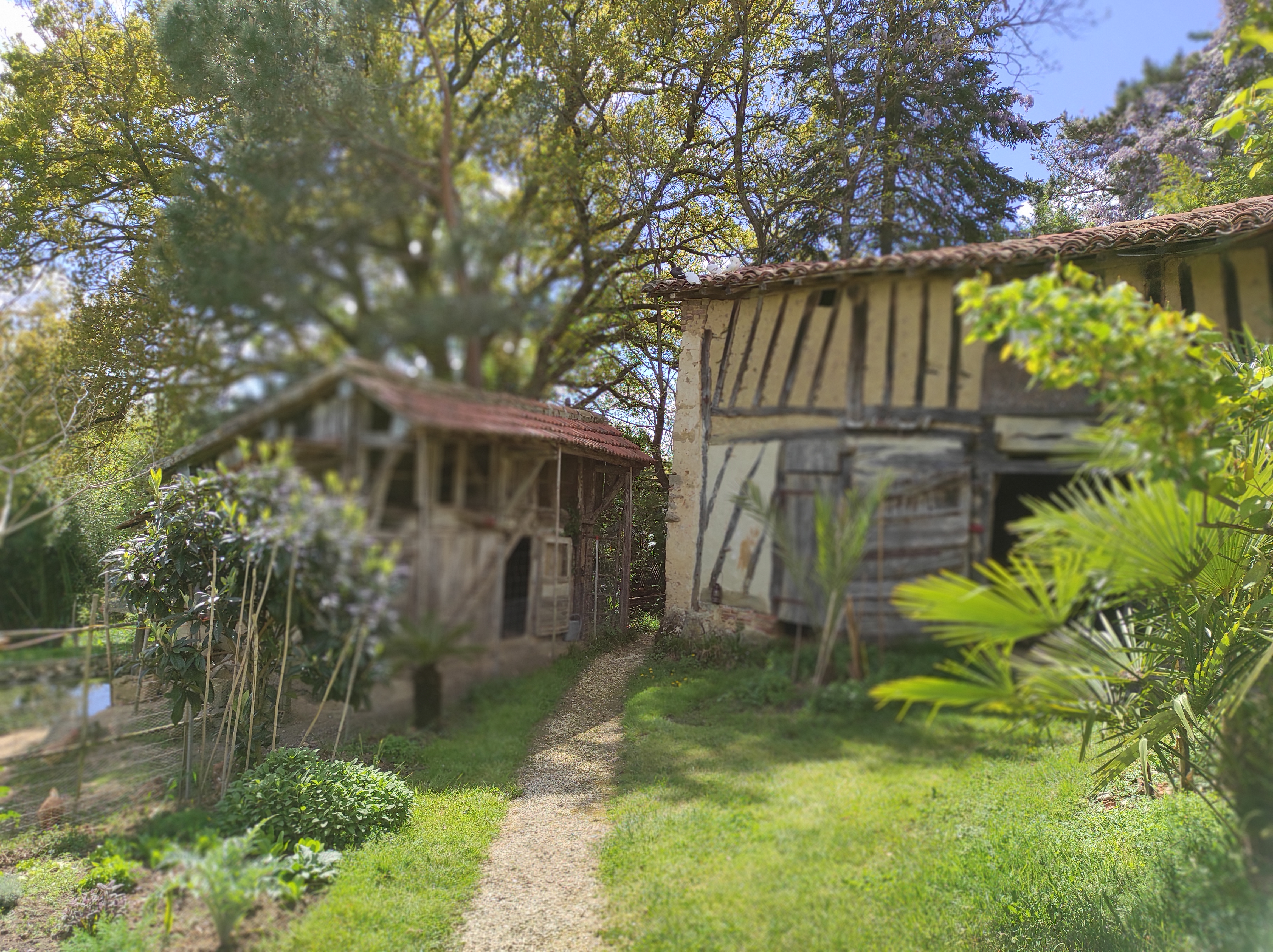 Photo n° 4 de l'avis de FRANCE. fait le 17/04/2023 à 00:05