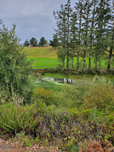 Country Club «Astoria Golf & Country Club», reviews and photos, 33445 Sunset Beach Rd, Warrenton, OR 97146, USA