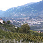 Photo n°4 de l'avis de Rainer.r fait le 07/09/2020 à 19:27 sur le  Buschenschank Weingut Haidenhof à Tscherms