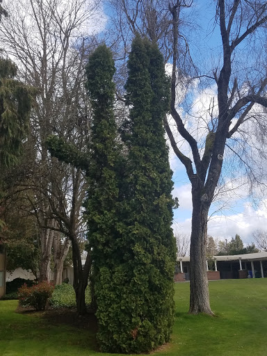 Golf Course «Oakway Golf Course», reviews and photos, 2000 Cal Young Rd, Eugene, OR 97401, USA