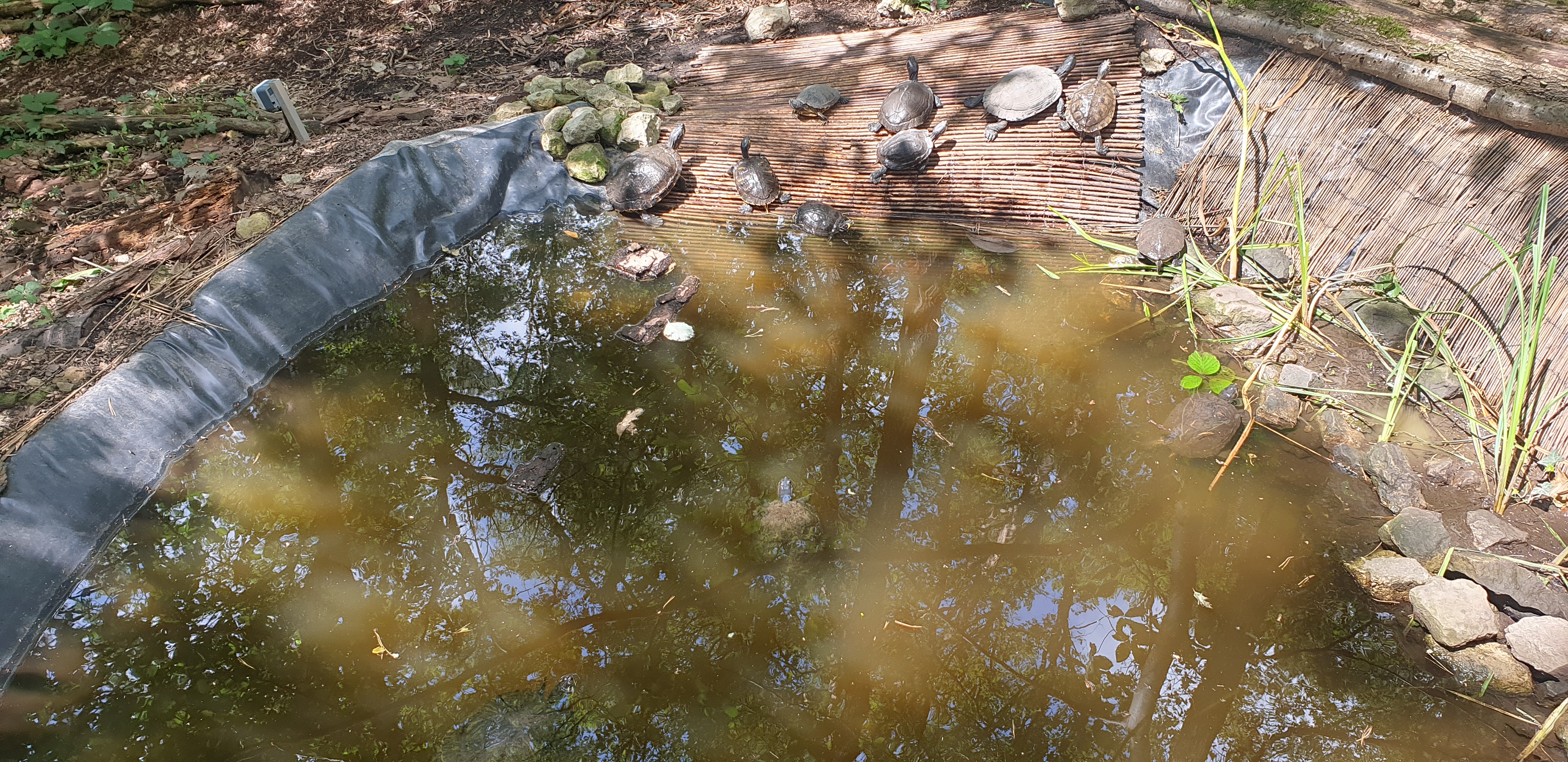 Photo n° 4 de l'avis de YetJ1402. fait le 16/07/2023 à 15:31