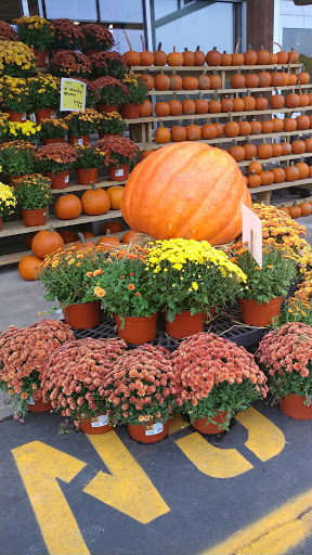 Shopping Mall «Fresh Pond Mall», reviews and photos, 545 Concord Ave #21, Cambridge, MA 02138, USA