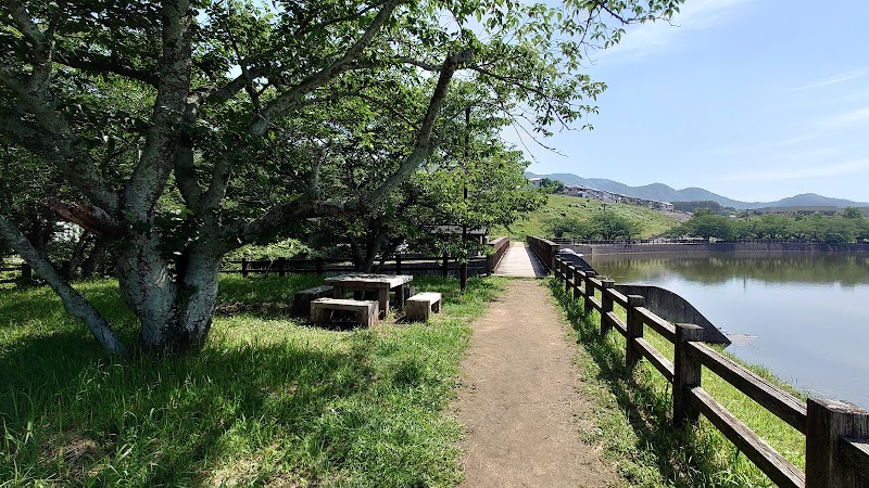 立岡自然公園 熊本県宇土市花園町 公園 公園 グルコミ