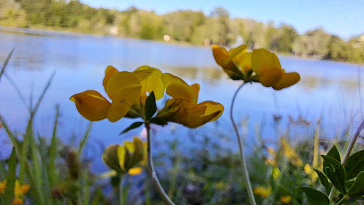 Park «Fancher Davidge Park», reviews and photos, 130 Lake Ave, Middletown, NY 10940, USA