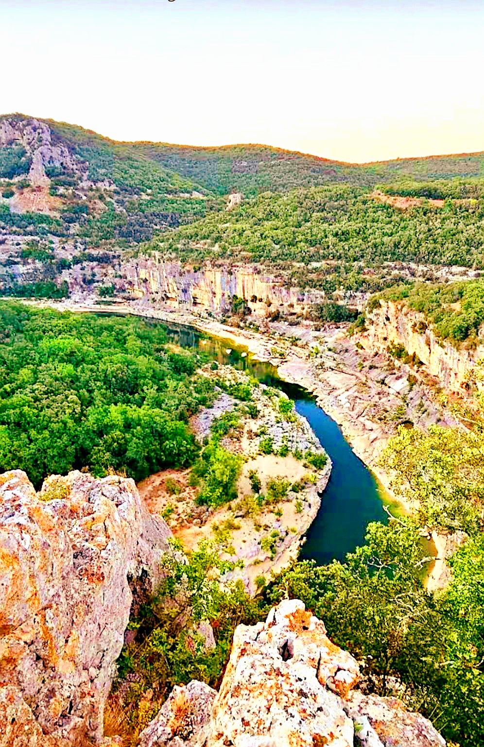 Photo n° 2 de l'avis de C.L.3 fait le 15/07/2021 à 02:16