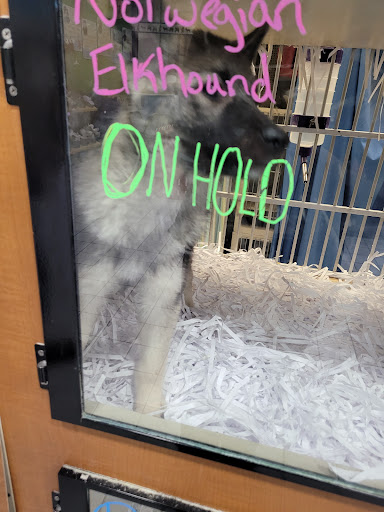 Shopping Mall «Oakland Mall», reviews and photos, 412 W 14 Mile Rd, Troy, MI 48083, USA