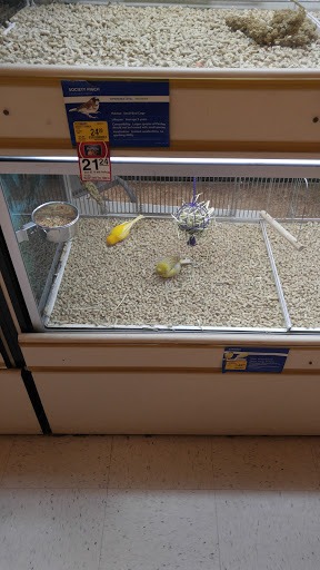 Pet Supply Store «PetSmart», reviews and photos, 11331 Causeway Blvd, Brandon, FL 33511, USA
