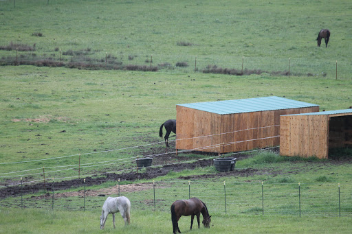 Oregon Horse Rescue Facility