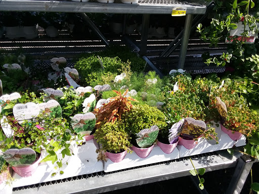 Hardware Store «Westlake Ace Hardware 080», reviews and photos, 708 S Aspen Ave, Broken Arrow, OK 74012, USA