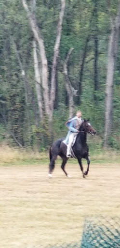 Historical Landmark «Mississinewa 1812», reviews and photos, 6000 N 300 W27, La Fontaine, La Fontaine, IN 46940, USA