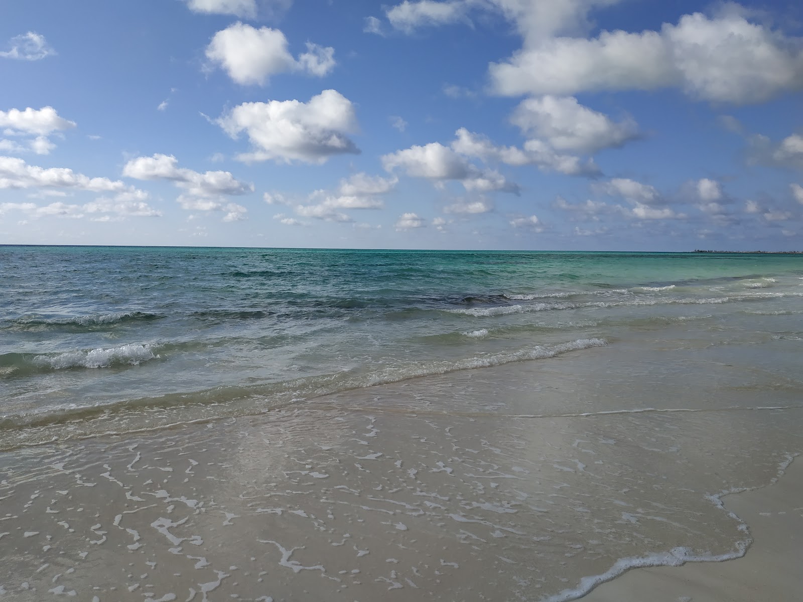 Fotografija Barbary beach divje območje