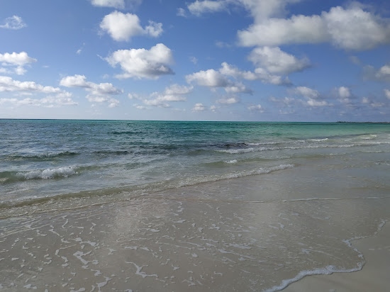 Barbary beach