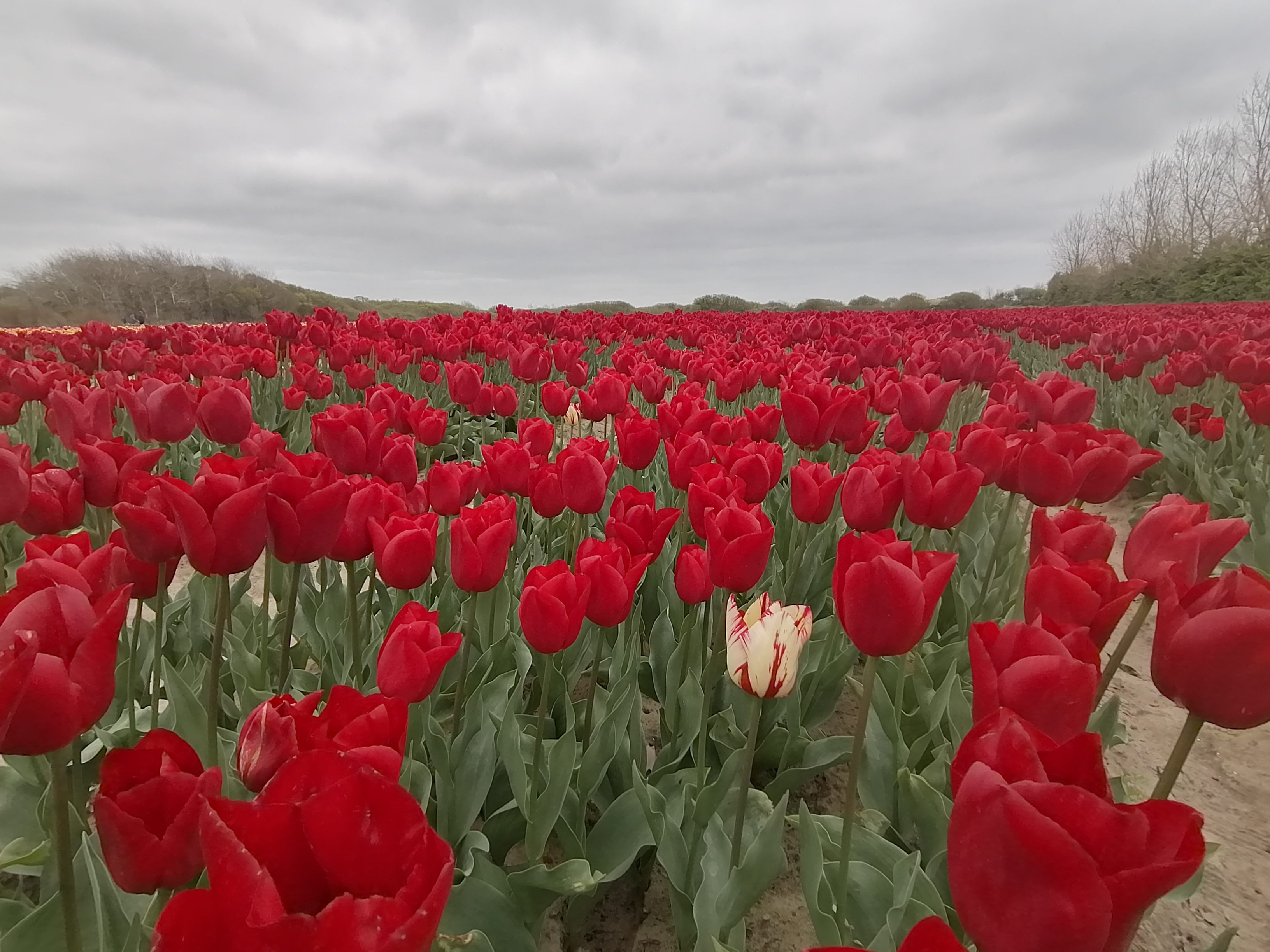 Photo n° 2 de l'avis de Mathieu.a fait le 14/04/2021 à 12:14