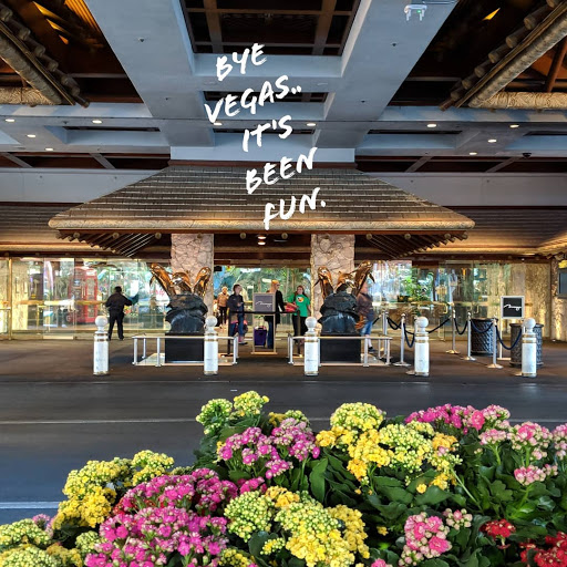 Hotel «The Mirage», reviews and photos, 3400 S Las Vegas Blvd, Las Vegas, NV 89109, USA