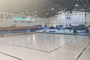 GAP National Gymnastics Center image