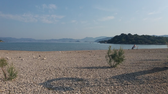 Rat beach