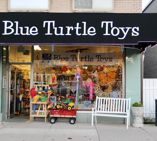 Blue Turtle Toy Store