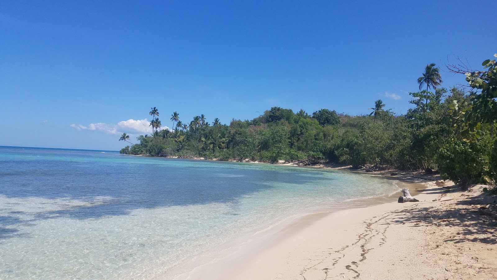 Playa Buye的照片 带有长直海岸