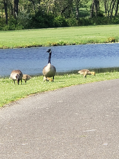 Golf Course «Cedar Creek Golf Course», reviews and photos, 5025 Bill Zimmerman Jr Way, Bayville, NJ 08721, USA