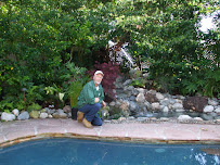 Paradise Landscaping - Photo 9 - Car repair in , Long Beach