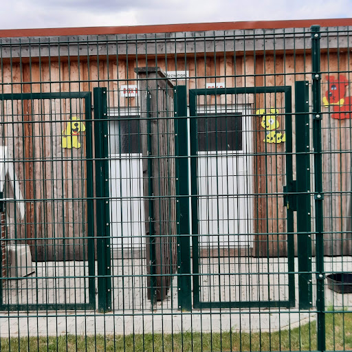 Tierschutzverein in der Samtgemeinde Hattorf e.V. unter Hattorf am Harz, 