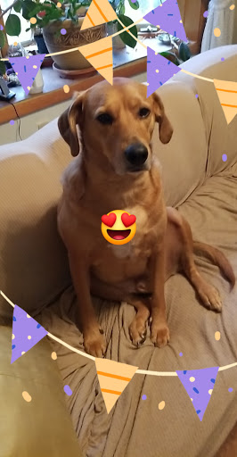 Wine Store «Total Wine & More», reviews and photos, 13887 Manchester Rd, Ballwin, MO 63011, USA