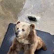 Cherokee Bear Zoo